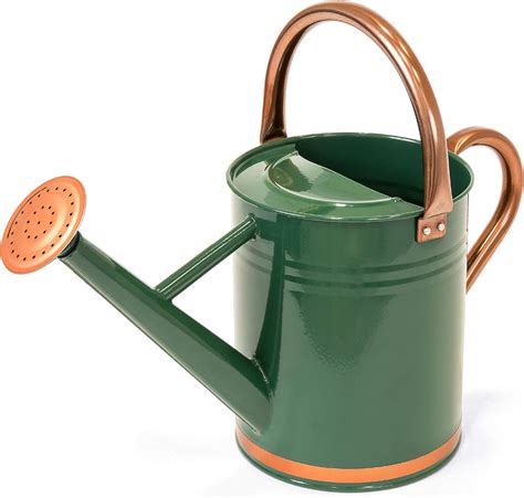 metal watering can for house plants|metal watering cans near me.